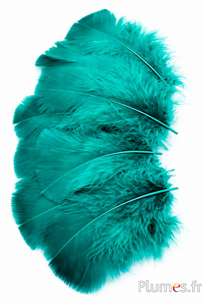Dinde - 6-8 cm - jade